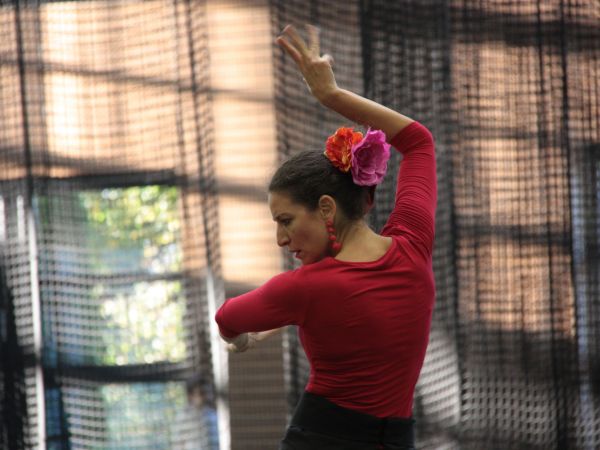 Tanz aller Kulturen 2017